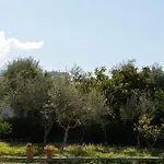 Sunny Breeze Vlora
