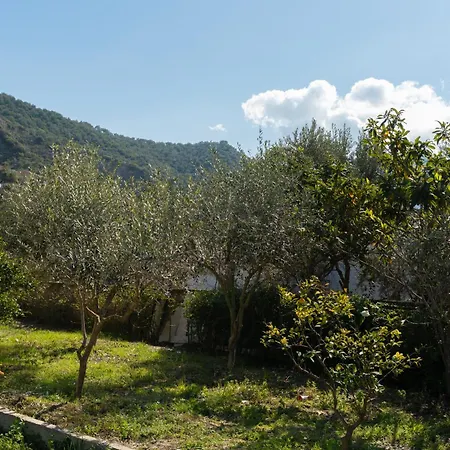 Hotel Sunny Breeze Vlore