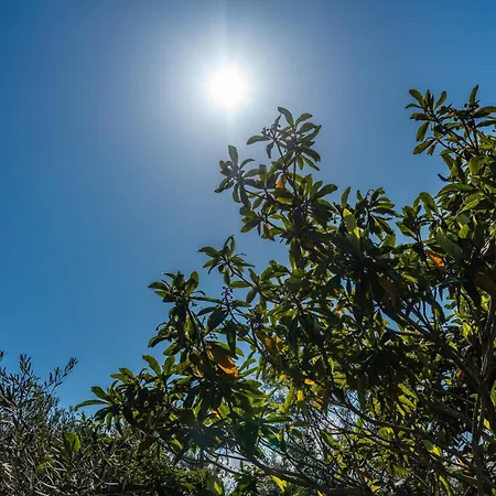 Sunny Breeze Avlonya