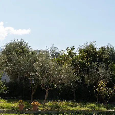 Sunny Breeze Avlonya